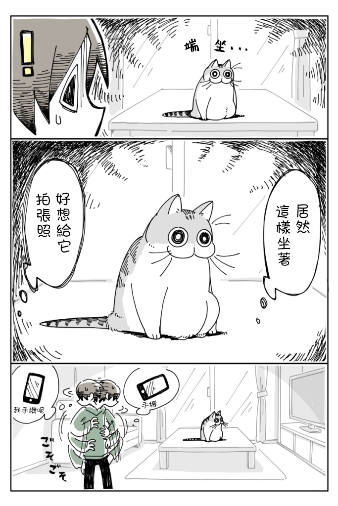 关于养猫我一直是新手韩漫全集-第07话无删减无遮挡章节图片 