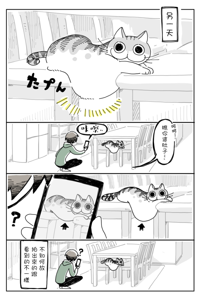 关于养猫我一直是新手韩漫全集-第07话无删减无遮挡章节图片 