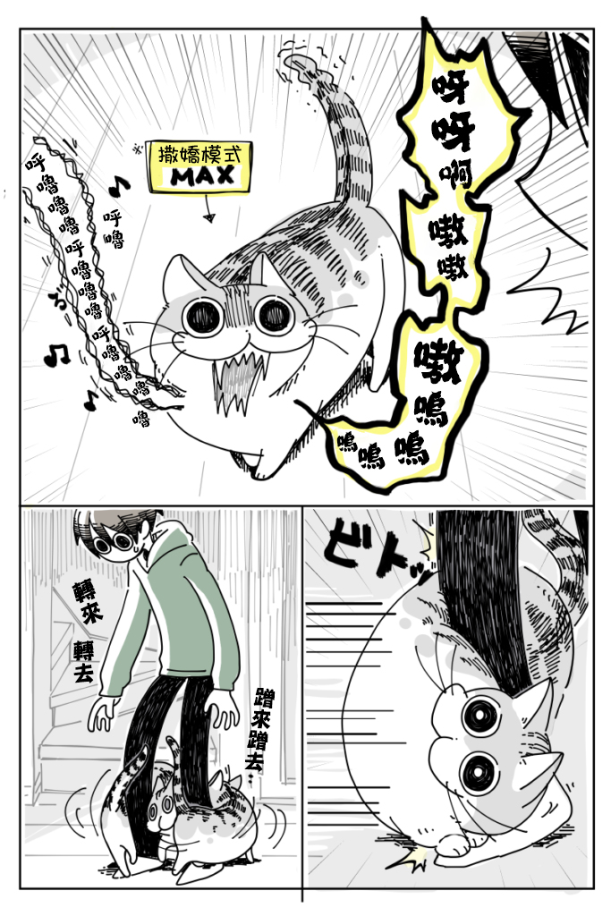 关于养猫我一直是新手韩漫全集-第08话无删减无遮挡章节图片 