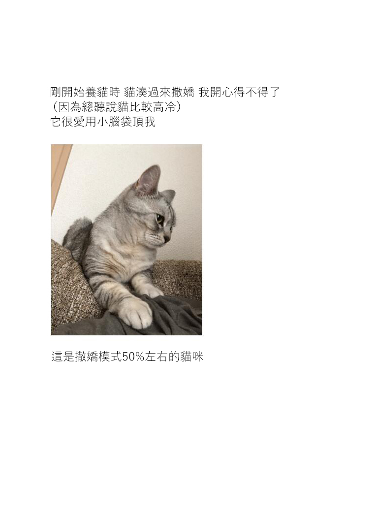 关于养猫我一直是新手韩漫全集-第08话无删减无遮挡章节图片 