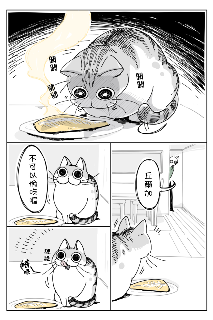 关于养猫我一直是新手韩漫全集-第09话无删减无遮挡章节图片 