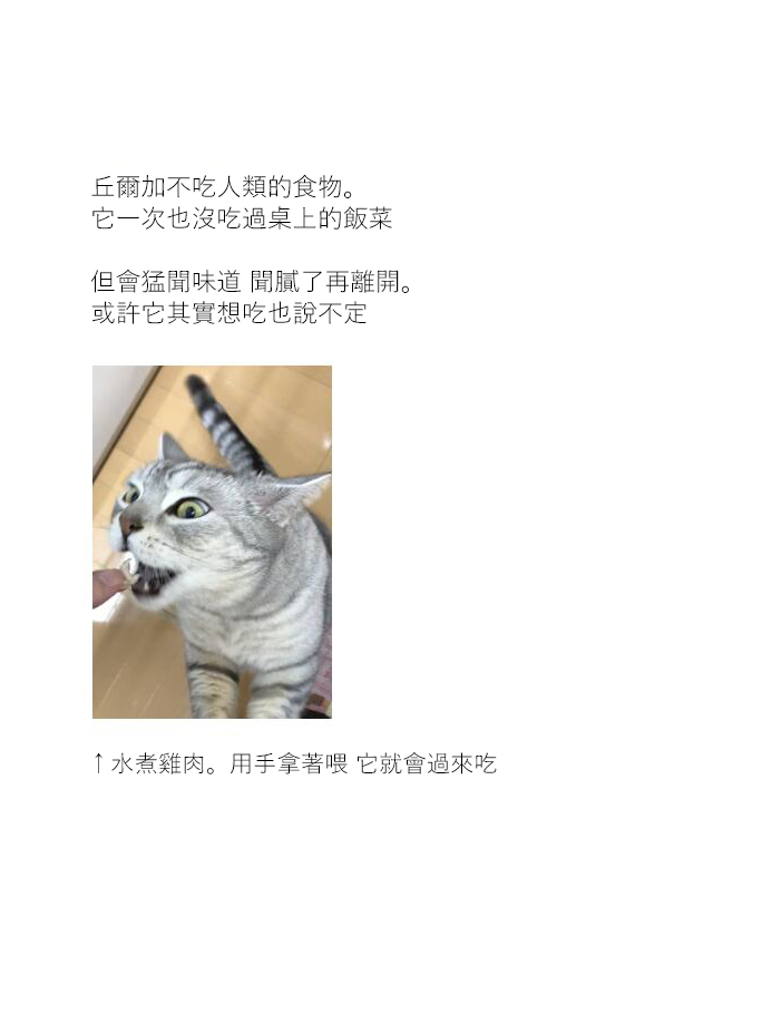 关于养猫我一直是新手韩漫全集-第09话无删减无遮挡章节图片 