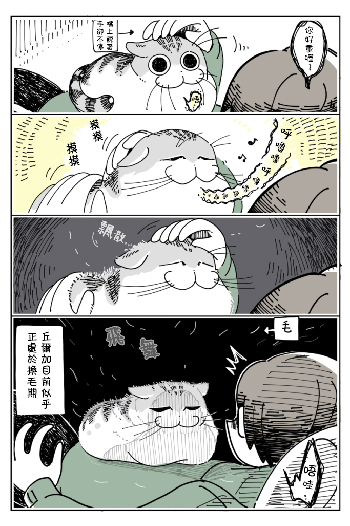 关于养猫我一直是新手韩漫全集-第11话无删减无遮挡章节图片 