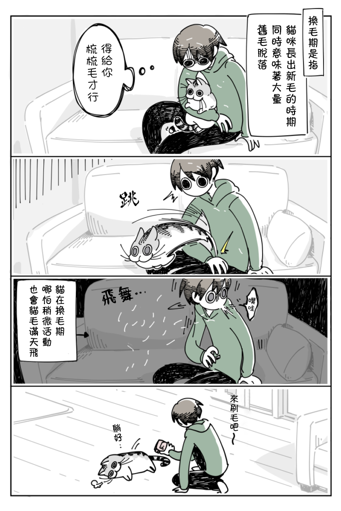 关于养猫我一直是新手韩漫全集-第11话无删减无遮挡章节图片 
