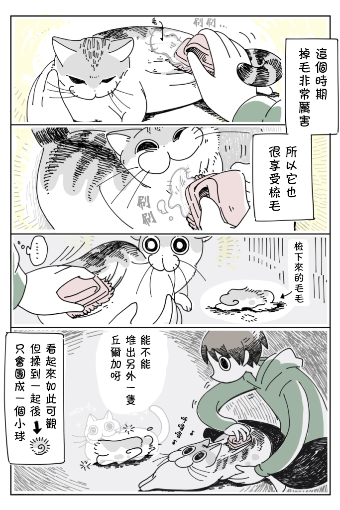 关于养猫我一直是新手韩漫全集-第11话无删减无遮挡章节图片 