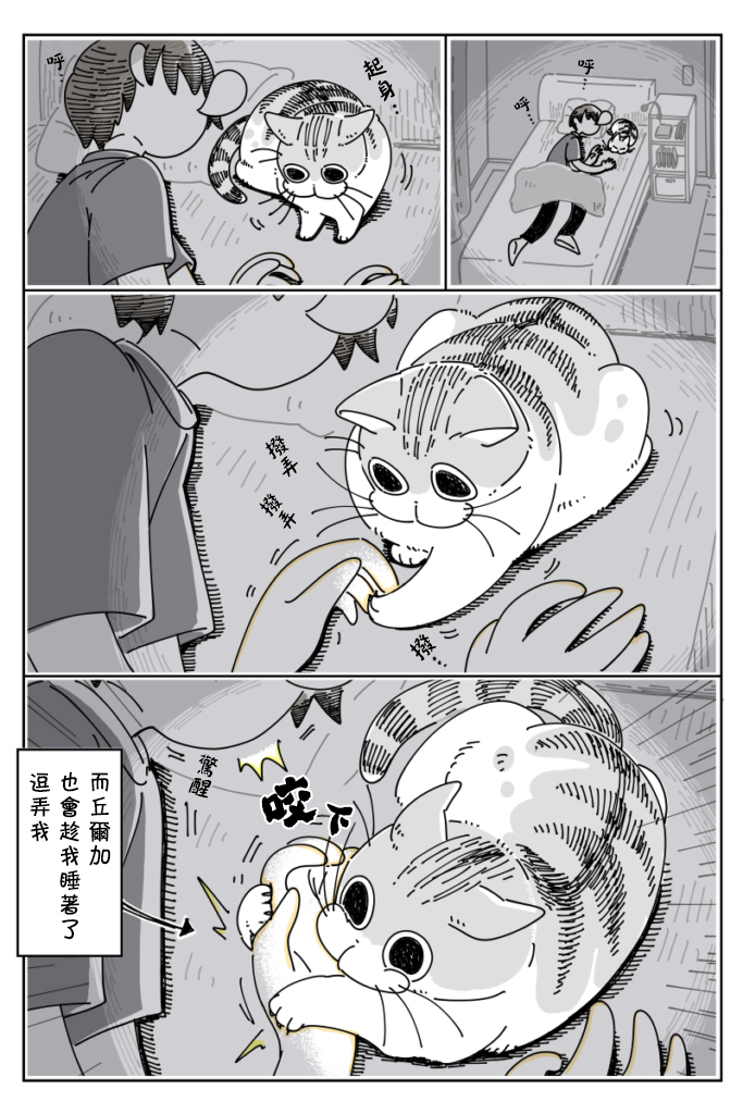 关于养猫我一直是新手韩漫全集-第27话无删减无遮挡章节图片 