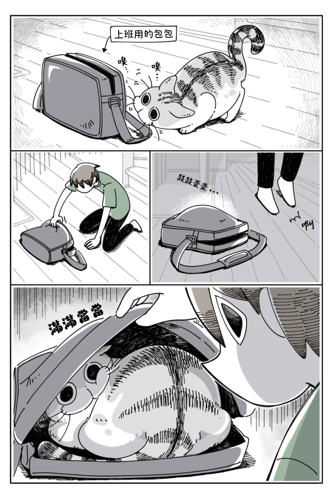 关于养猫我一直是新手韩漫全集-第28话无删减无遮挡章节图片 