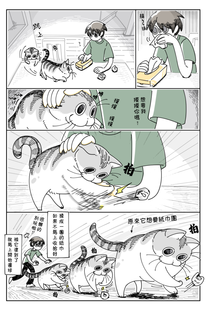 关于养猫我一直是新手韩漫全集-第29话无删减无遮挡章节图片 