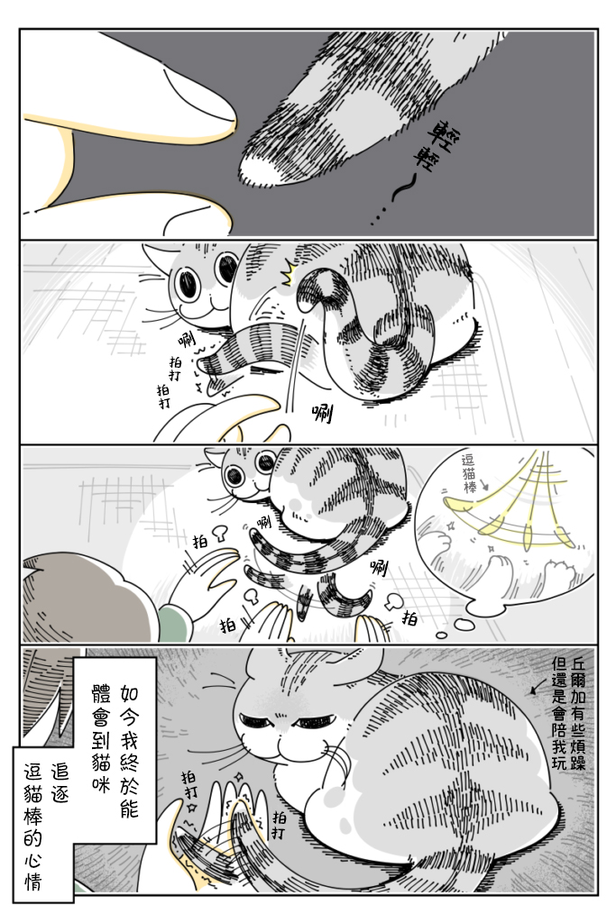 关于养猫我一直是新手韩漫全集-第31话无删减无遮挡章节图片 