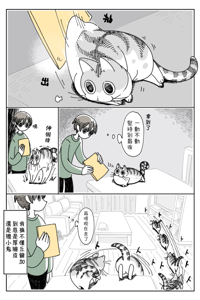 关于养猫我一直是新手韩漫全集-第32话无删减无遮挡章节图片 