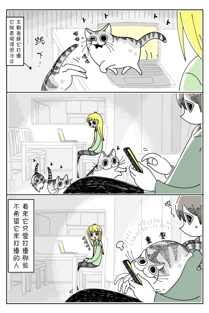 关于养猫我一直是新手韩漫全集-第33话无删减无遮挡章节图片 