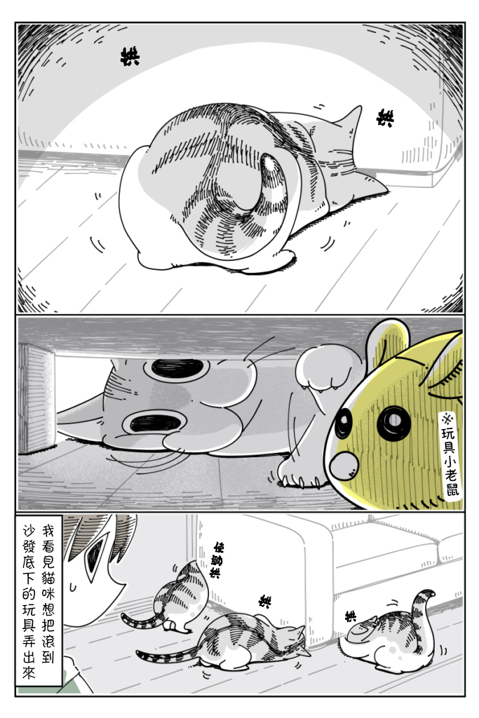 关于养猫我一直是新手韩漫全集-第34话无删减无遮挡章节图片 