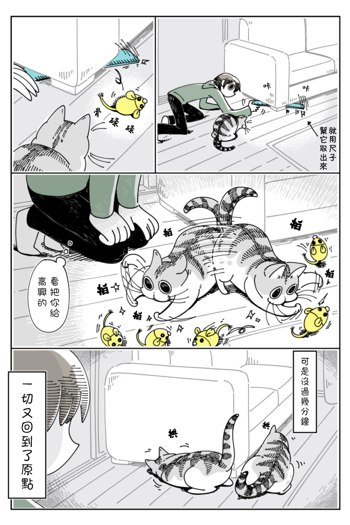 关于养猫我一直是新手韩漫全集-第34话无删减无遮挡章节图片 