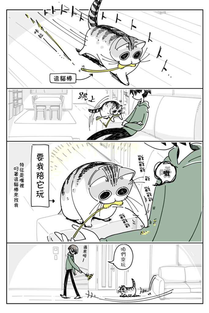 关于养猫我一直是新手韩漫全集-第13话无删减无遮挡章节图片 