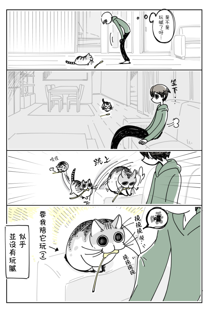 关于养猫我一直是新手韩漫全集-第13话无删减无遮挡章节图片 