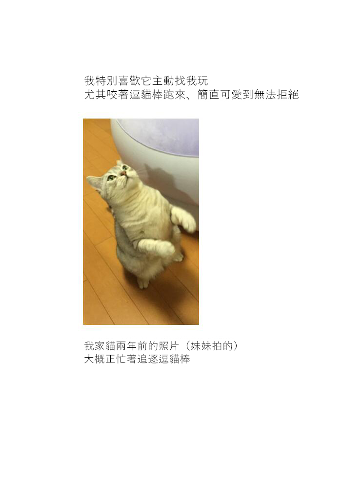 关于养猫我一直是新手韩漫全集-第13话无删减无遮挡章节图片 