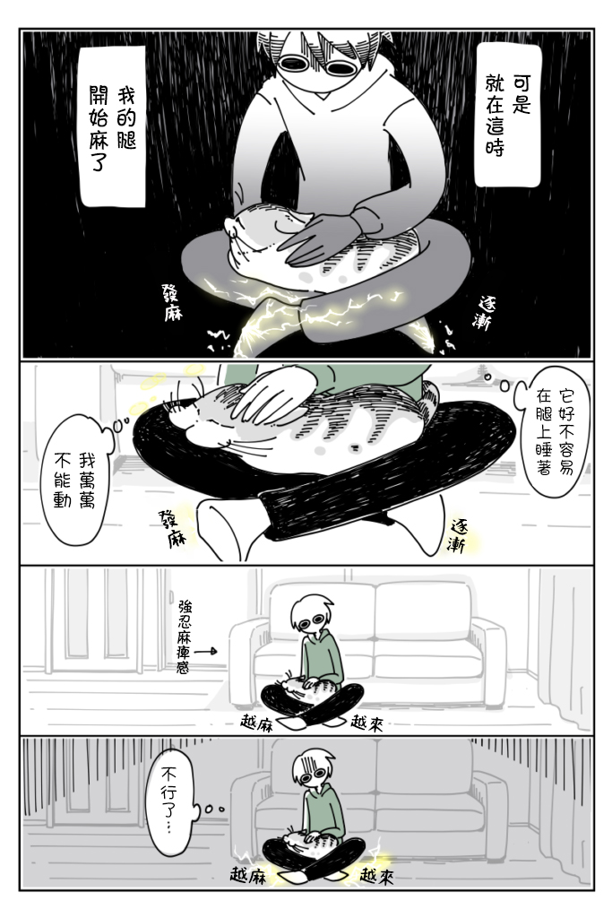 关于养猫我一直是新手韩漫全集-第14话无删减无遮挡章节图片 