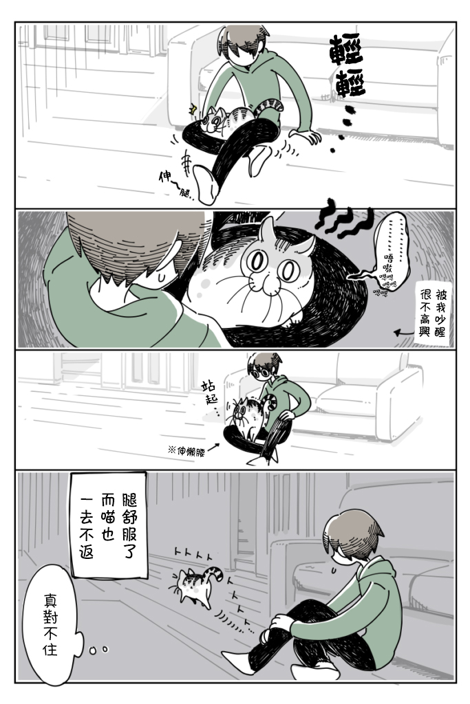 关于养猫我一直是新手韩漫全集-第14话无删减无遮挡章节图片 