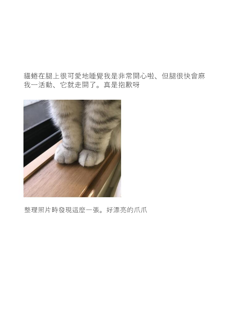 关于养猫我一直是新手韩漫全集-第14话无删减无遮挡章节图片 