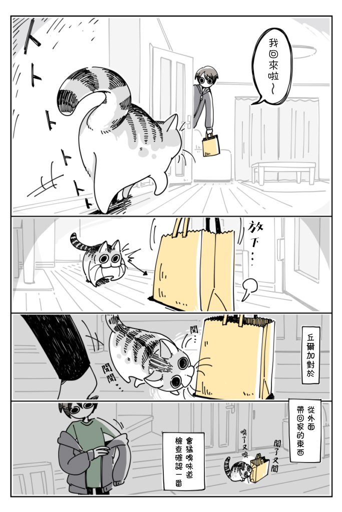 关于养猫我一直是新手韩漫全集-第15话无删减无遮挡章节图片 