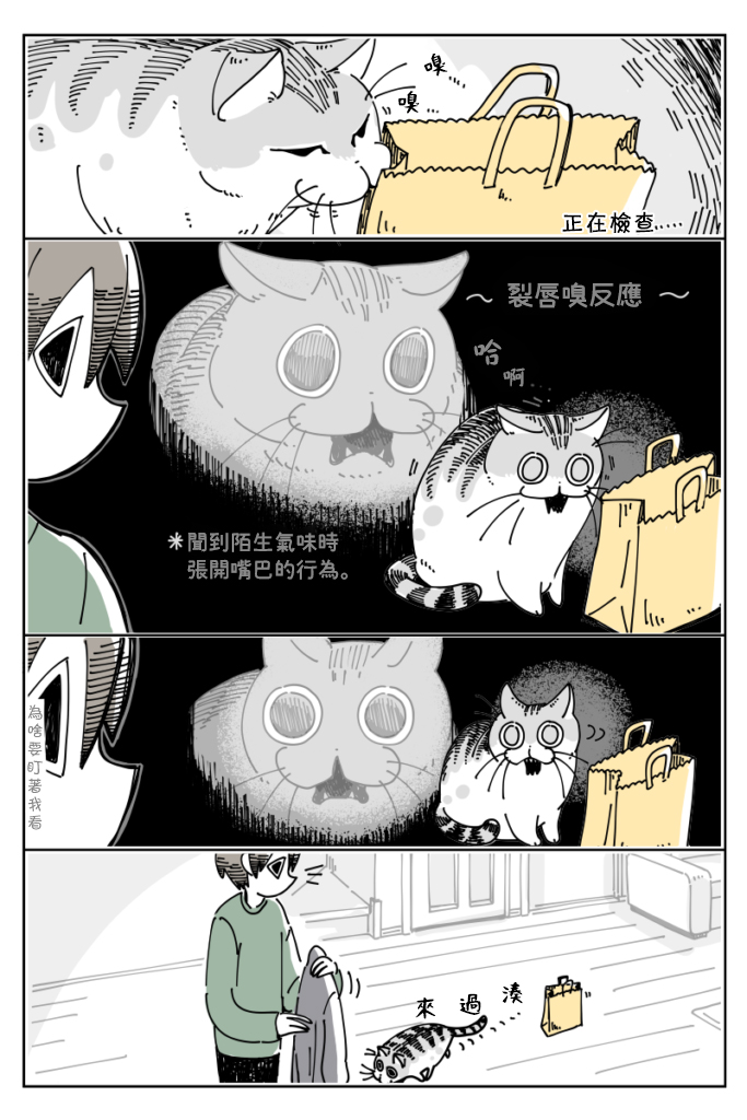 关于养猫我一直是新手韩漫全集-第15话无删减无遮挡章节图片 