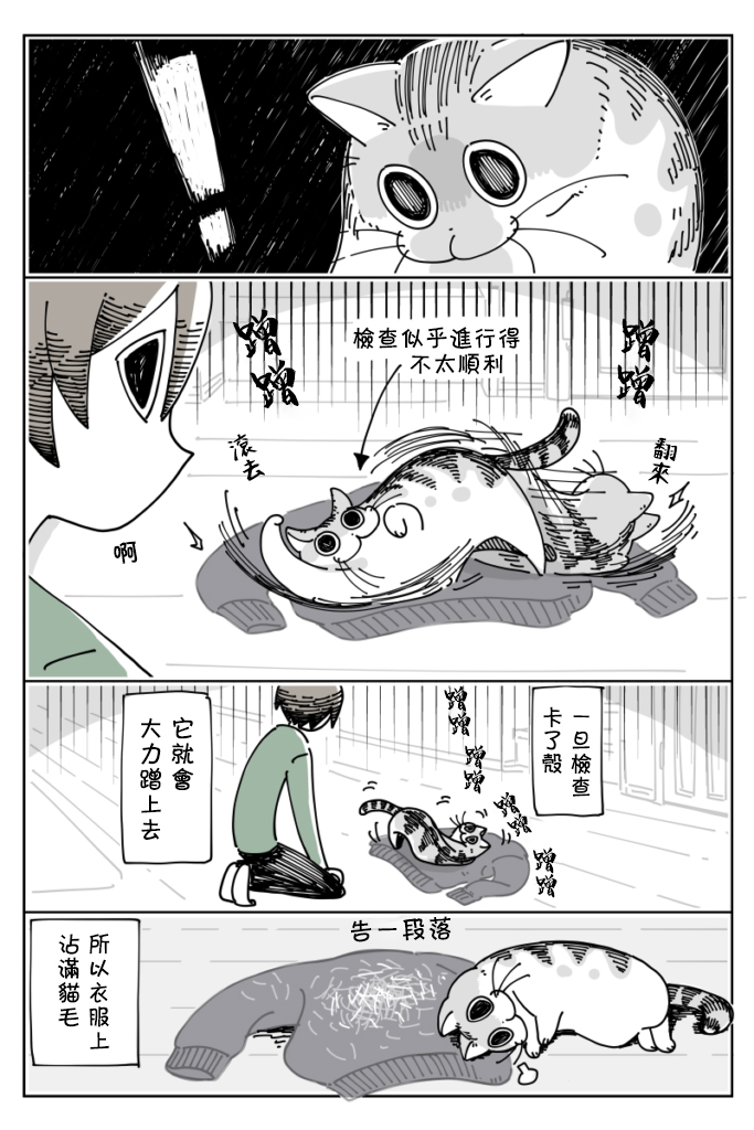 关于养猫我一直是新手韩漫全集-第15话无删减无遮挡章节图片 