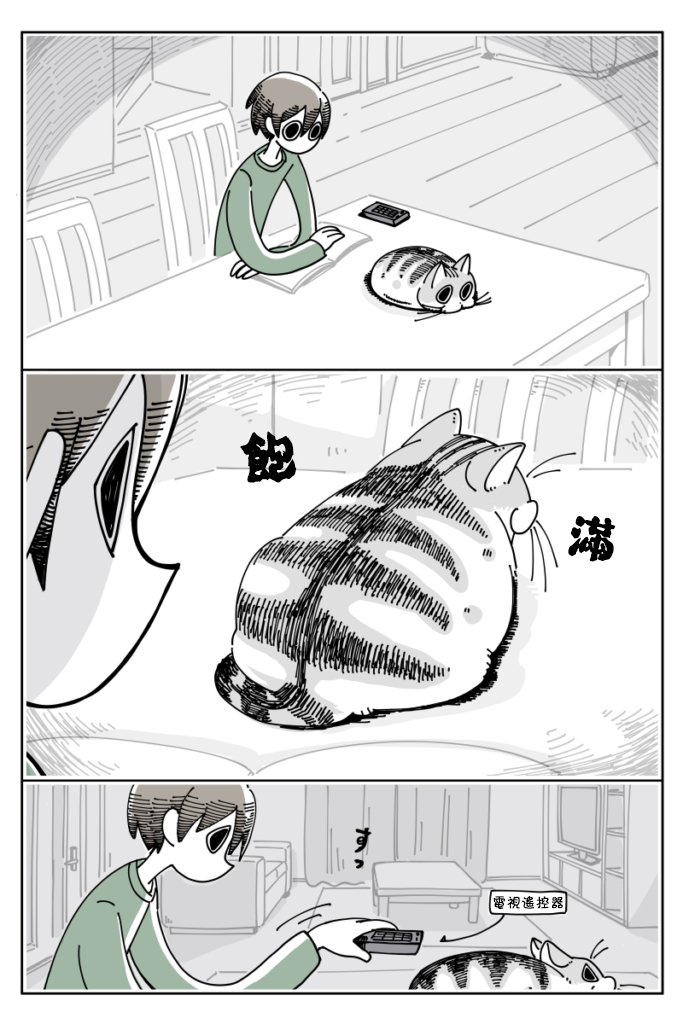 关于养猫我一直是新手韩漫全集-第16话无删减无遮挡章节图片 