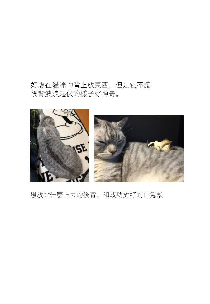 关于养猫我一直是新手韩漫全集-第16话无删减无遮挡章节图片 