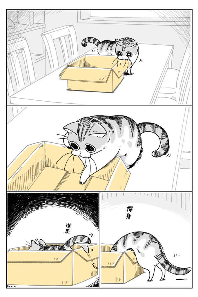 关于养猫我一直是新手韩漫全集-第17话无删减无遮挡章节图片 