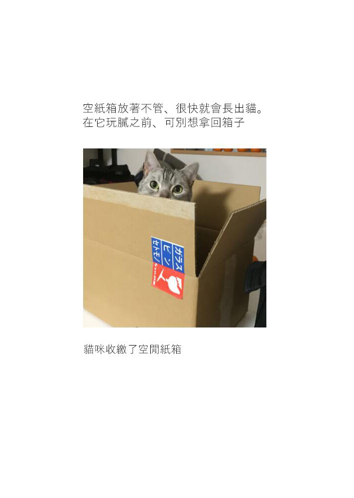 关于养猫我一直是新手韩漫全集-第17话无删减无遮挡章节图片 