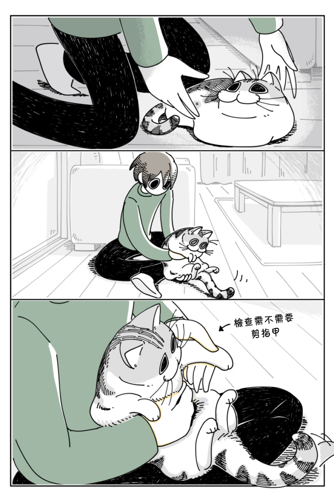 关于养猫我一直是新手韩漫全集-第18话无删减无遮挡章节图片 