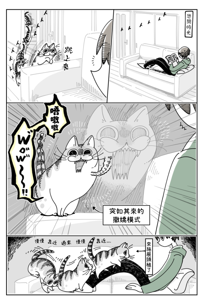 关于养猫我一直是新手韩漫全集-第36话无删减无遮挡章节图片 