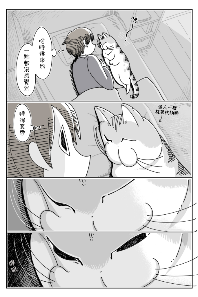 关于养猫我一直是新手韩漫全集-第37话无删减无遮挡章节图片 