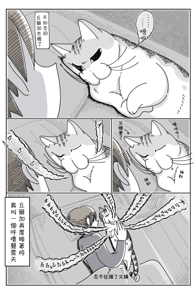关于养猫我一直是新手韩漫全集-第37话无删减无遮挡章节图片 
