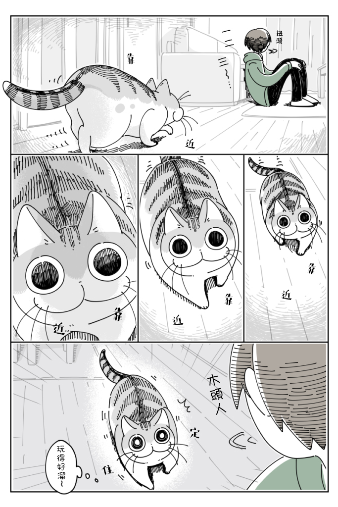 关于养猫我一直是新手韩漫全集-第38话无删减无遮挡章节图片 