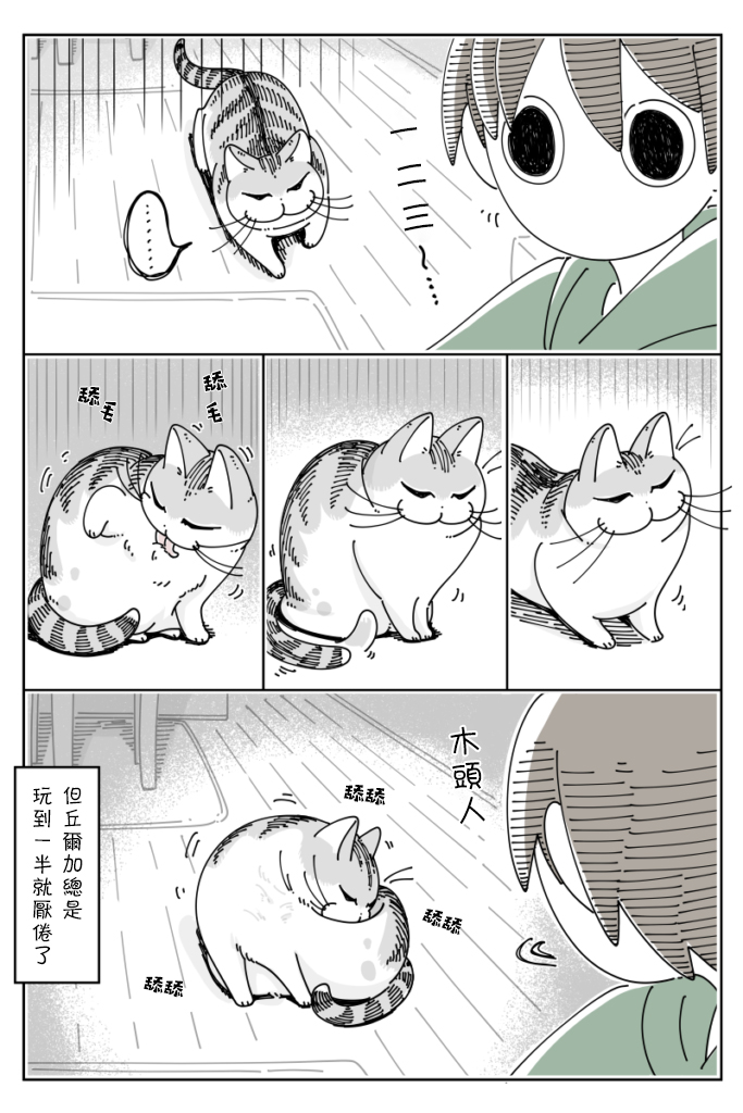 关于养猫我一直是新手韩漫全集-第38话无删减无遮挡章节图片 