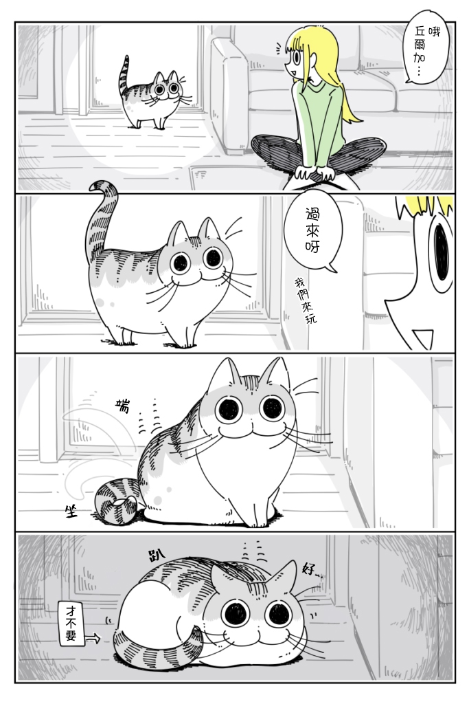 关于养猫我一直是新手韩漫全集-第39话无删减无遮挡章节图片 