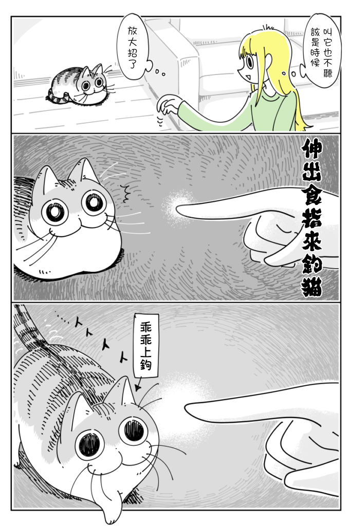 关于养猫我一直是新手韩漫全集-第39话无删减无遮挡章节图片 