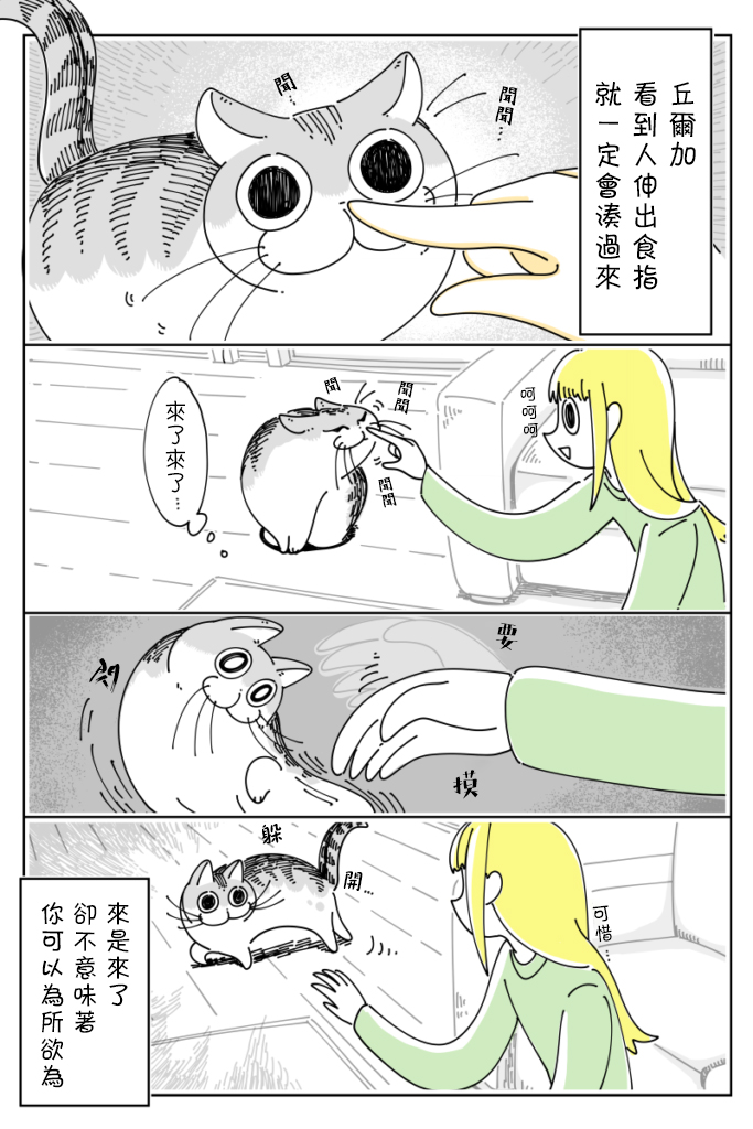 关于养猫我一直是新手韩漫全集-第39话无删减无遮挡章节图片 