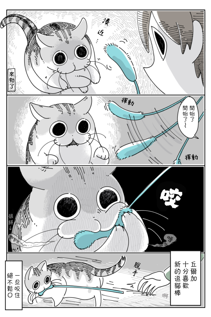 关于养猫我一直是新手韩漫全集-第40话无删减无遮挡章节图片 