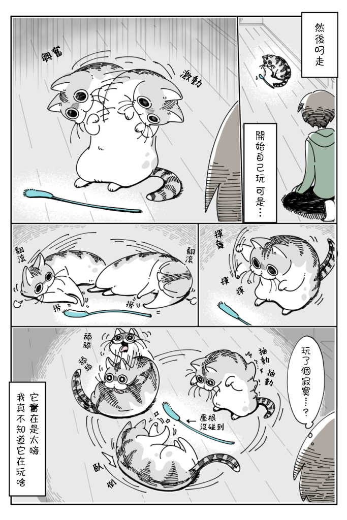 关于养猫我一直是新手韩漫全集-第40话无删减无遮挡章节图片 