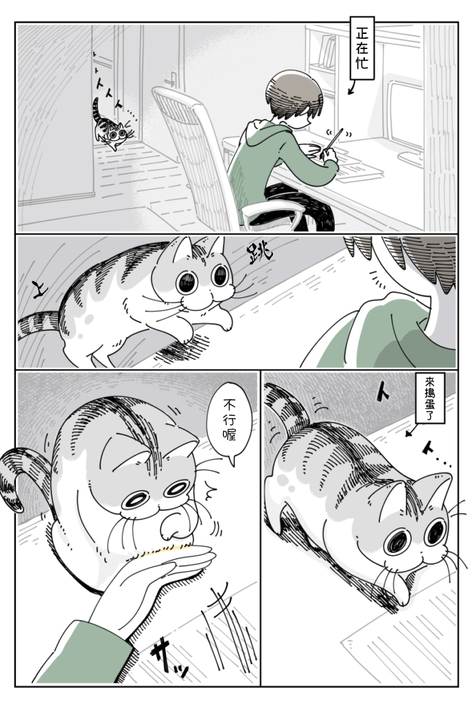 关于养猫我一直是新手韩漫全集-第41话无删减无遮挡章节图片 