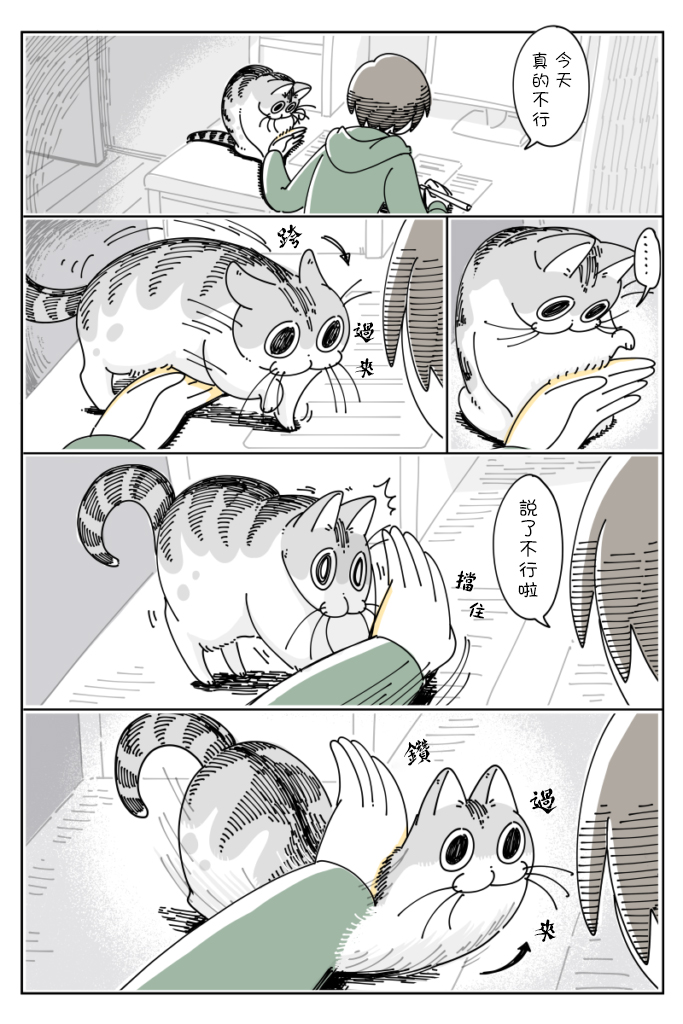 关于养猫我一直是新手韩漫全集-第41话无删减无遮挡章节图片 