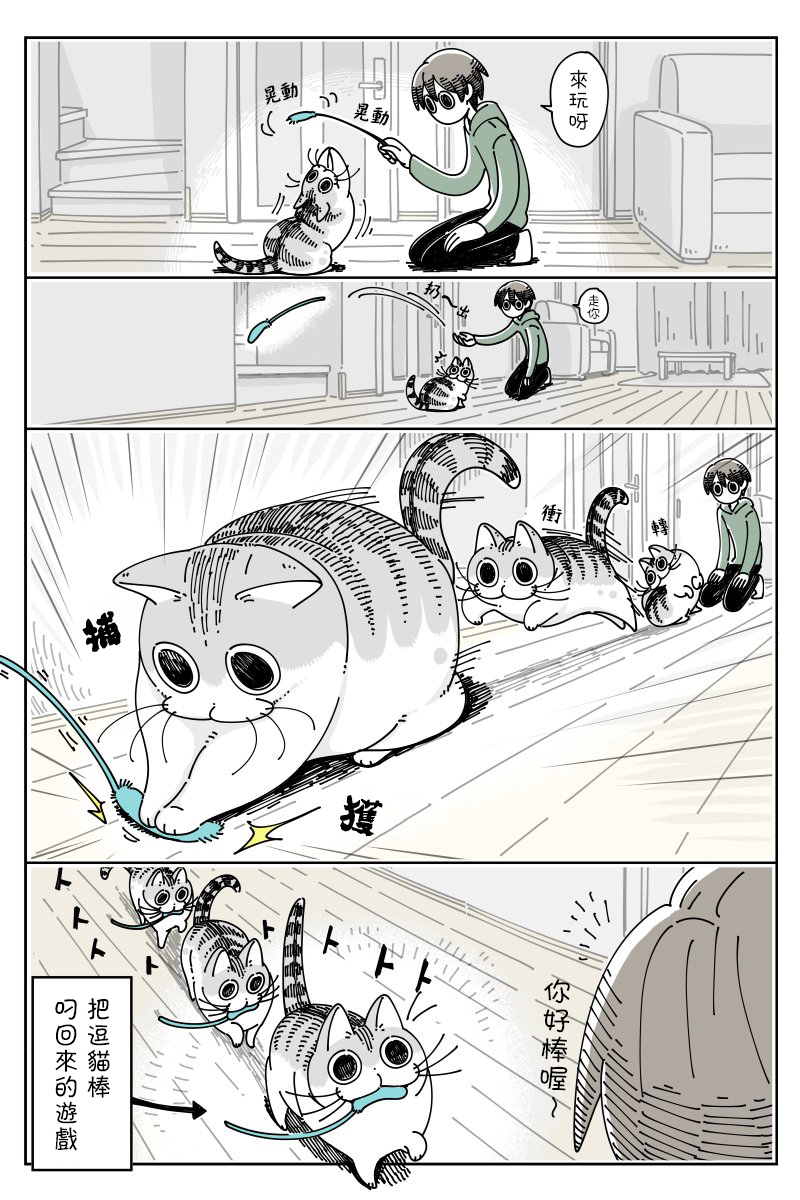 关于养猫我一直是新手韩漫全集-第42话无删减无遮挡章节图片 