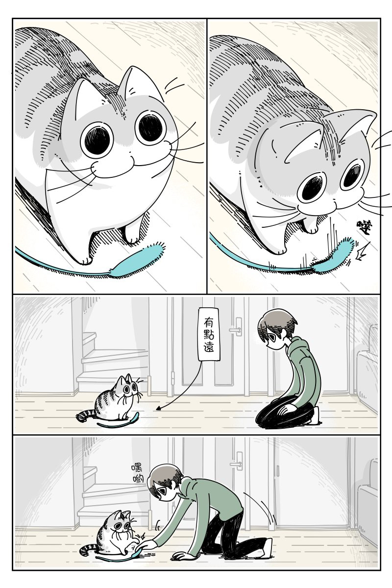 关于养猫我一直是新手韩漫全集-第42话无删减无遮挡章节图片 