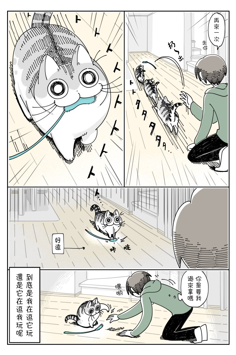 关于养猫我一直是新手韩漫全集-第42话无删减无遮挡章节图片 