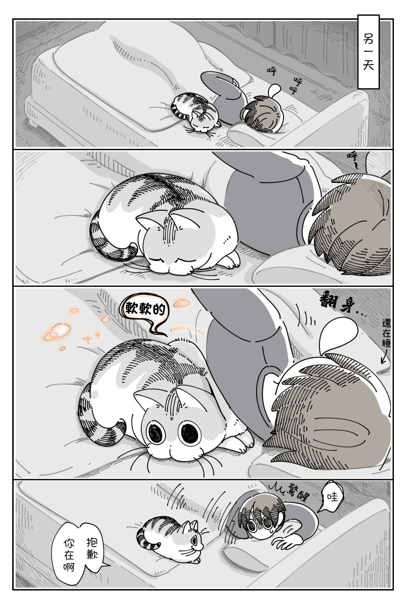 关于养猫我一直是新手韩漫全集-第43话无删减无遮挡章节图片 