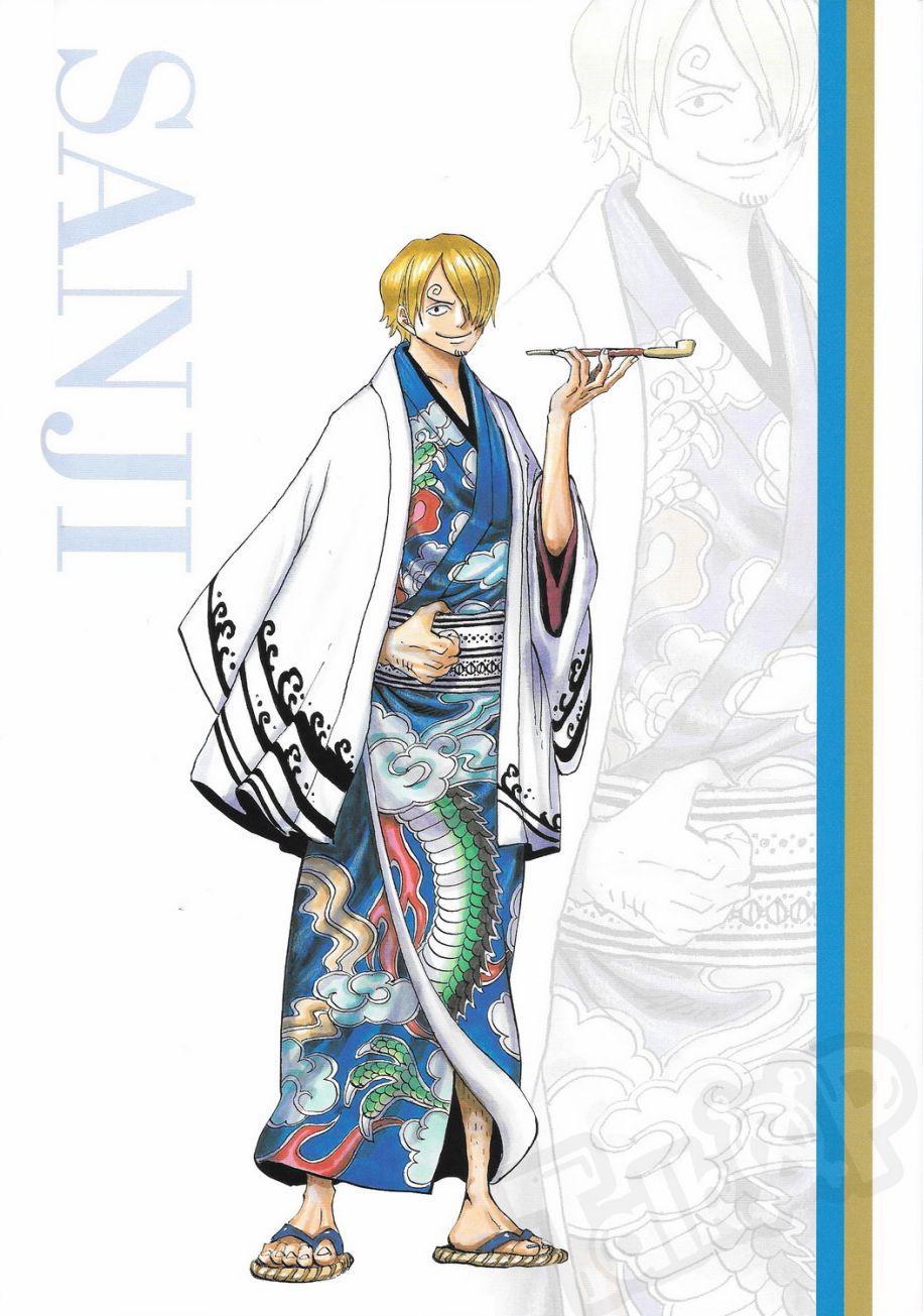 尾田荣一郎原画集One Piece Artbook Color Walk 8韩漫全集-第01卷无删减无遮挡章节图片 