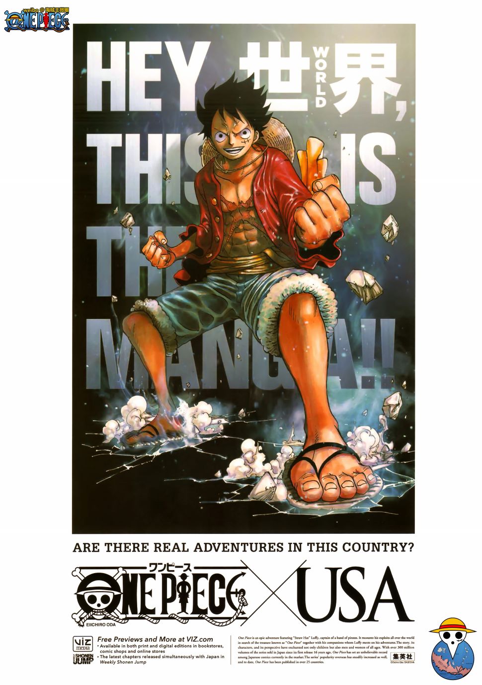 ONEPIECE尾田荣一郎画集TYRANNOSAURUSCOLORWALK7韩漫全集-画集无删减无遮挡章节图片 
