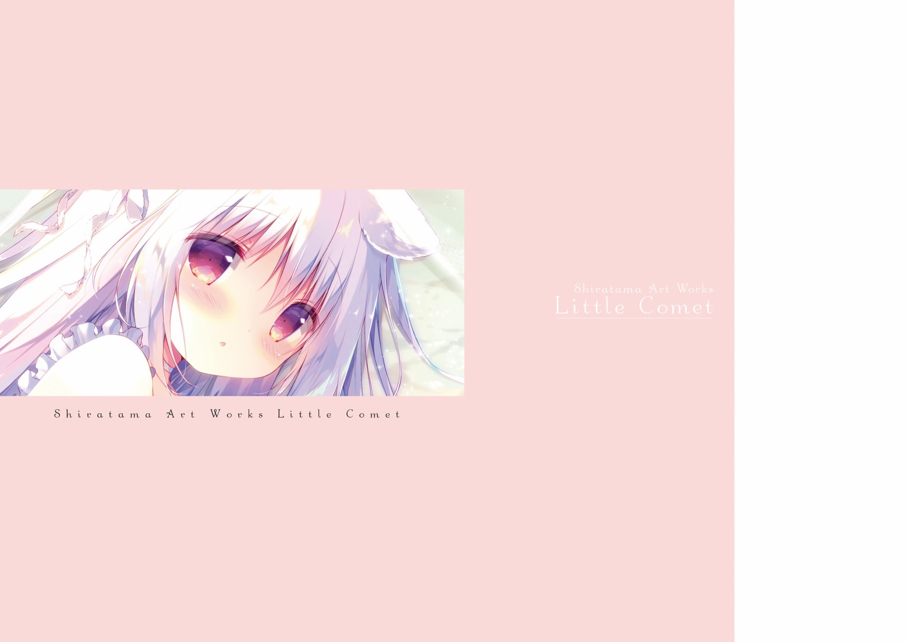 しらたま画集 Little Comet韩漫全集-全一卷无删减无遮挡章节图片 
